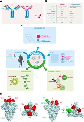 Nanobodies: COVID-19 and Future Perspectives